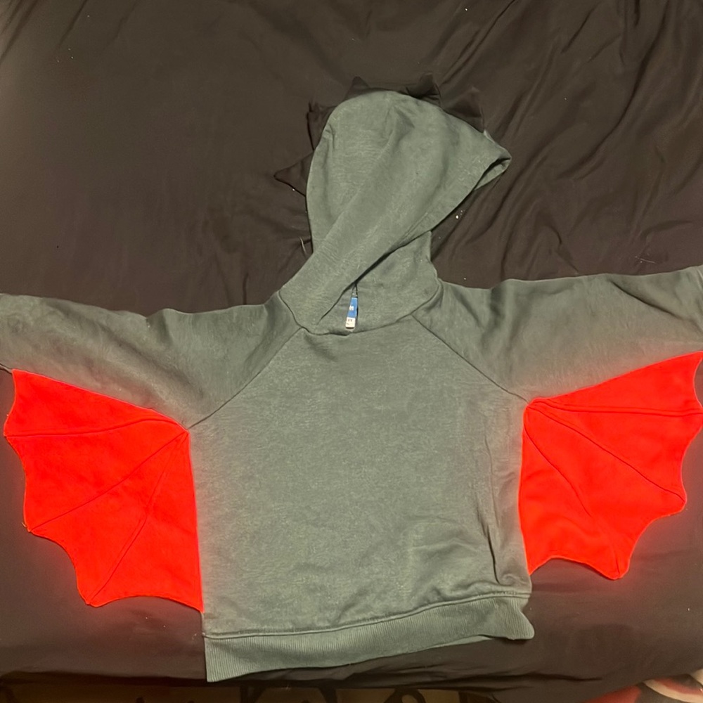 Dragon Pullover Hoodie/Pants 12-18M